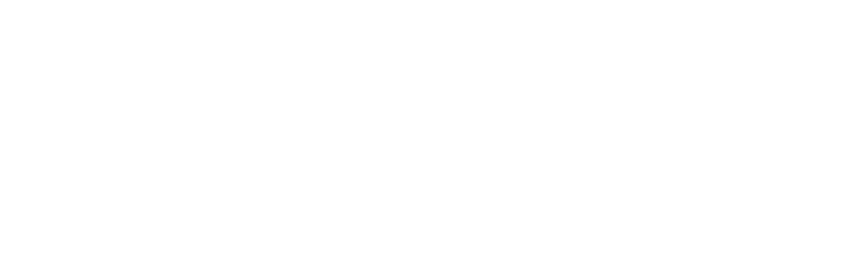 Logo CNR IBE
