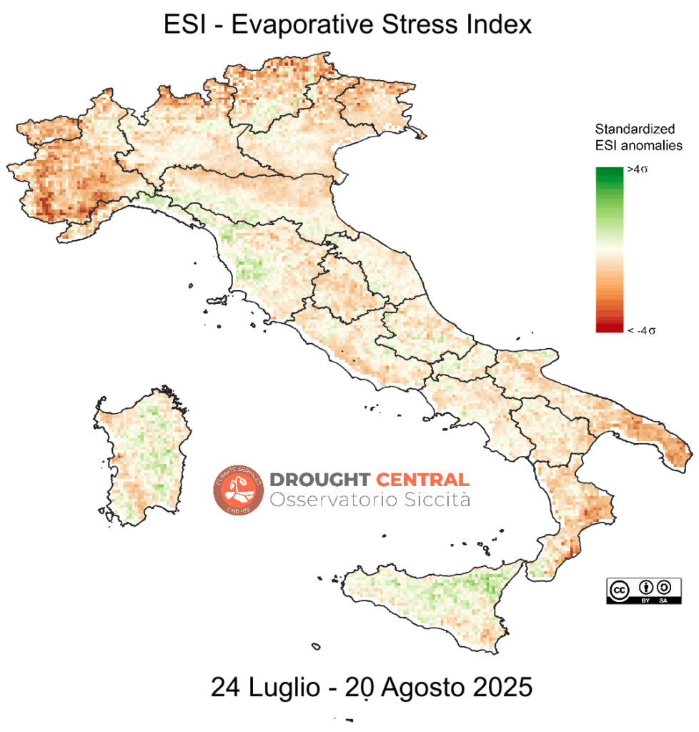 ESI index luglio-agosto 2025