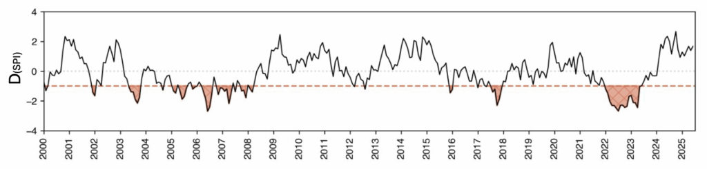 Esempio di Indice D(SPI)