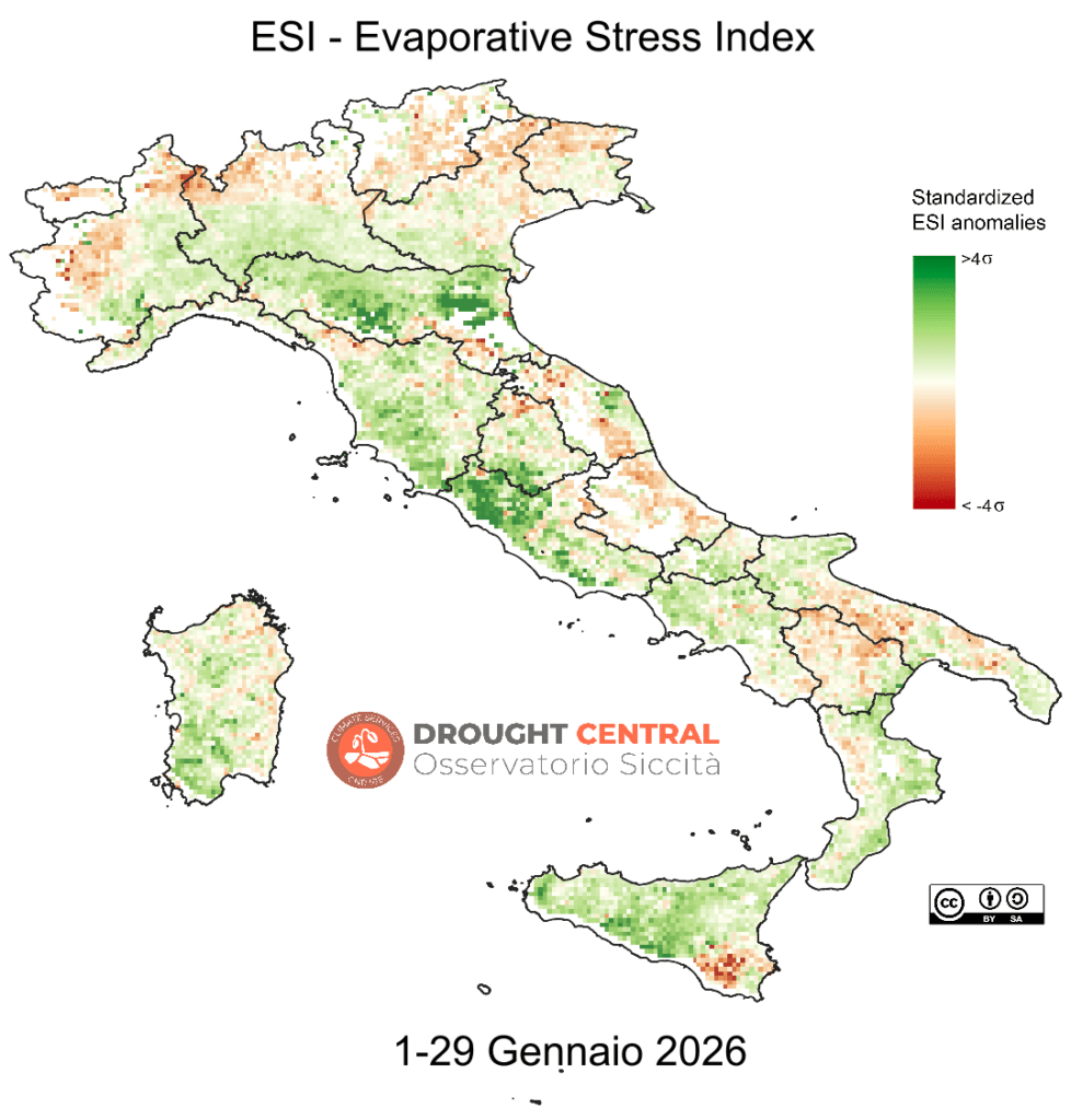 ESI index ultime 4 settimane